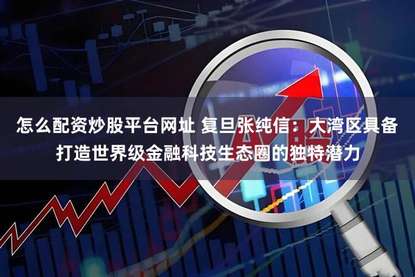 怎么配资炒股平台网址 复旦张纯信：大湾区具备打造世界级金融科技生态圈的独特潜力